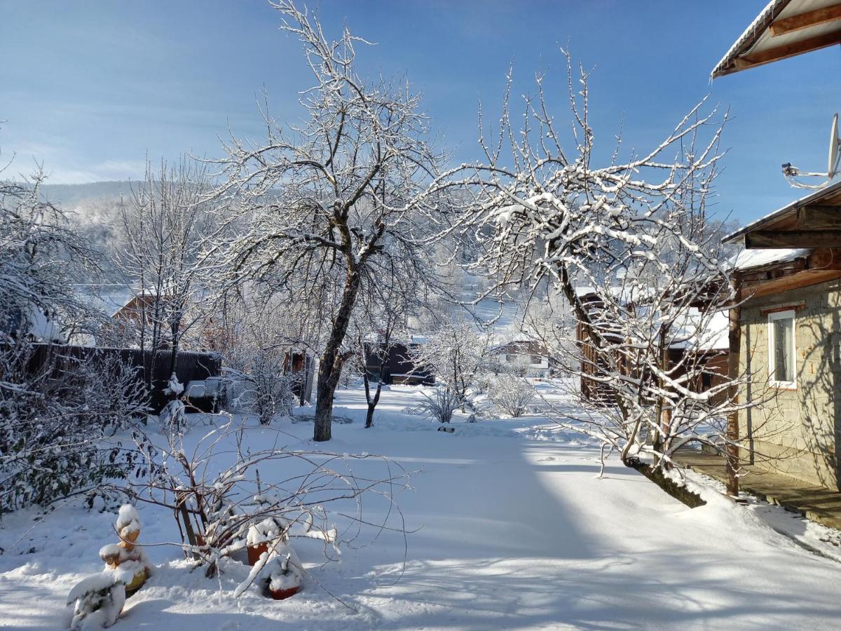 Садиба Райський Куточок Synewyr Zewnętrze zdjęcie